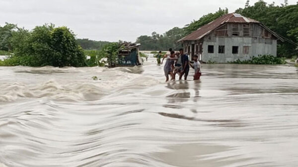 বাঁধ ভেঙে প্লাবিত রাঙ্গাবালীর ২০ গ্রাম 