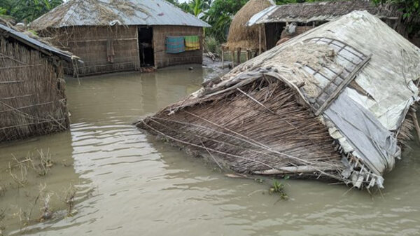 বন্যার পানি কমেছে কুড়িগ্রামে, ভোগান্তির সঙ্গে বেড়েছে অভাব