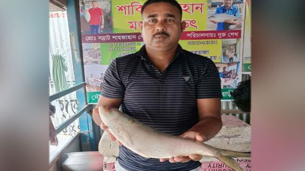 এক ইলিশ বিক্রি হলো ৬ হাজার টাকায়