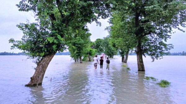 জামালপুরে দেড় লাখ মানুষ পানিবন্দি, ভেঙে পড়েছে যোগাযোগ ব্যবস্থা