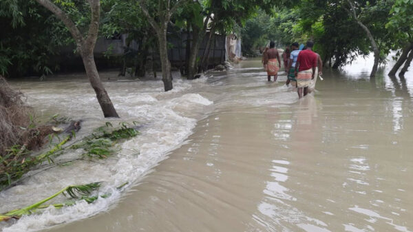 জামালপুরে যমুনা ও অন্যান্য নদীর পানি কমছে