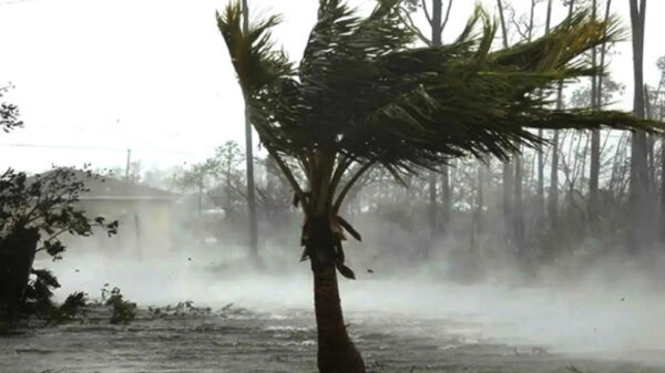 যে সময়ের মধ্যে ঢাকাসহ ১৫ জেলায় ঝড়ের শঙ্কা