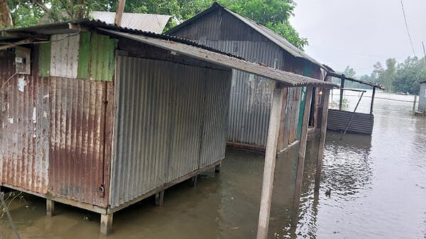 সিরাজগঞ্জের সার্বিক বন্যা পরিস্থিতির উন্নতি