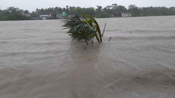 বন্যাপীড়িত এলাকায় জানাজা ও দাফনের বিধান