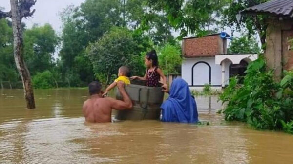 বন্যার্তদের পাশে দাঁড়ানোর আহবান ক্রিকেটারদের