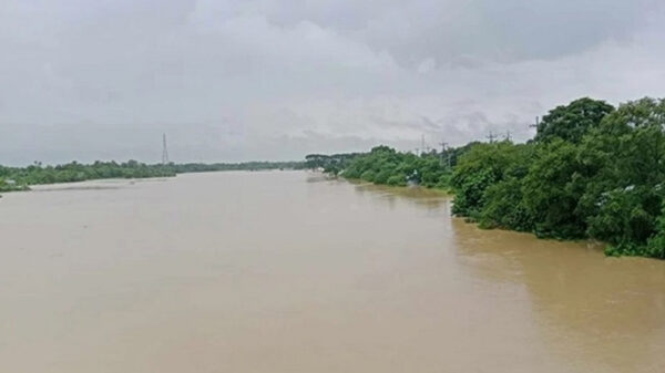 বিপৎসীমার নিচে নামল গোমতী নদীর পানি