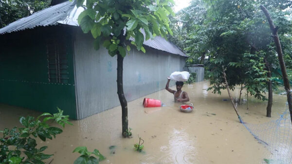 ভয়াবহ বন্যায় বিপর্যস্ত ৯ জেলা