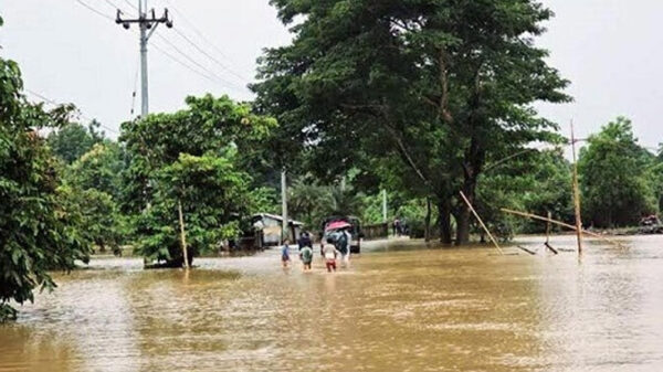 বন্যায় মৃত্যু বেড়ে ৭১