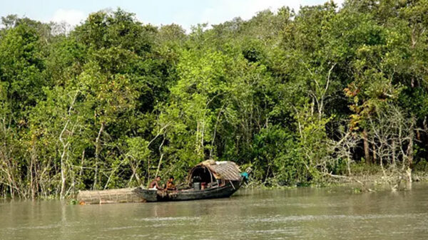 ৩ মাস পর উন্মুক্ত সুন্দরবন