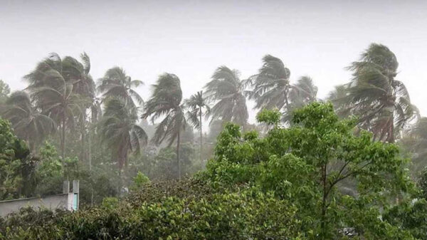 দুপুরের মধ্যে যেসব অঞ্চলে ঝড়বৃষ্টির পূর্বাভাস