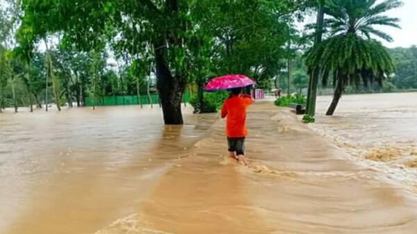 শেরপুর ও ময়মনসিংহে আকস্মিক বন্যা, তলিয়ে গেছে ১৬৩ গ্রাম