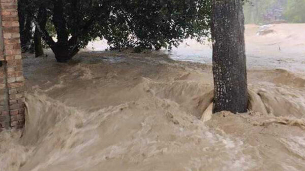 শেরপুরে পাহাড়ি ঢলে শতাধিক গ্রাম প্লাবিত, ভেঙেছে দুই নদীর পাড়