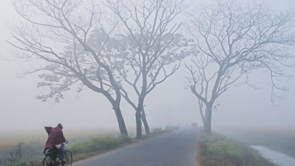 কবে শুরু হবে শৈত্যপ্রবাহ, জানালো আবহাওয়া অফিস