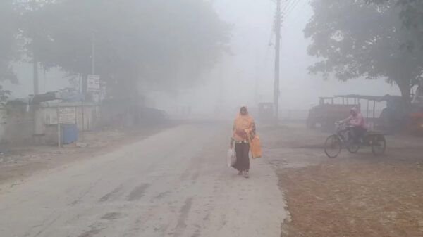 শৈত্যপ্রবাহ ও তাপমাত্রা নিয়ে যে বার্তা দিলো আবহাওয়া অধিদপ্তর