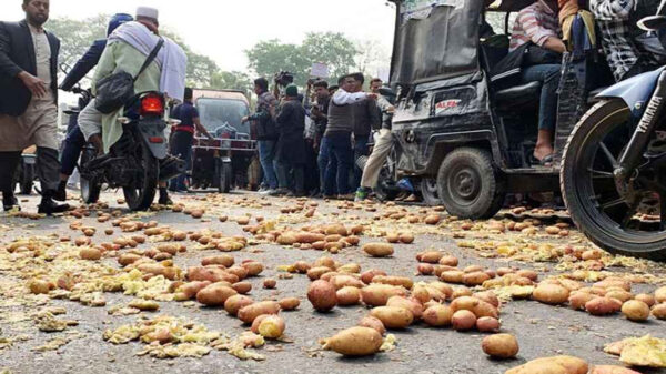 রাজশাহীতে সড়কে আলু ফেলে চাষিদের বিক্ষোভ