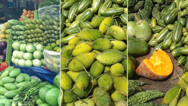 দামের উত্তাপ সবজিতে, ক্রেতার পকেটে টান