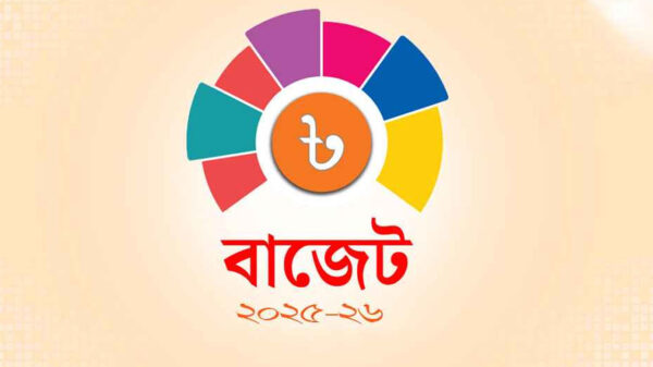 ২ জুন বাজেট পেশ করবে অন্তর্বর্তী সরকার