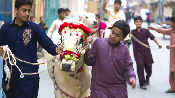 ঈদুল আজহার সম্ভাব্য তারিখ জানালো পাকিস্তান