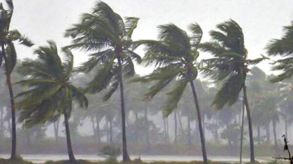 দুপুরের মধ্যে যেসব জেলায় ঝড়বৃষ্টি হতে পারে