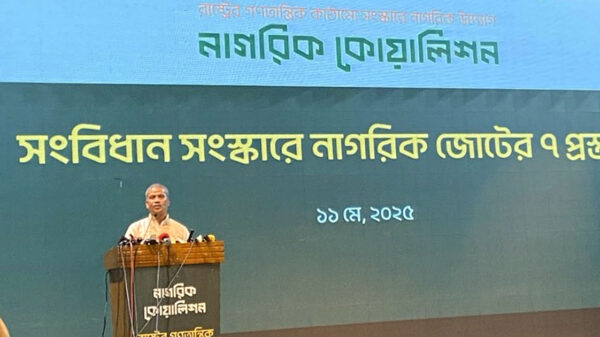 নতুন সংবিধান প্রণয়ন হতে অনেক সময় লাগবে: আসিফ নজরুল