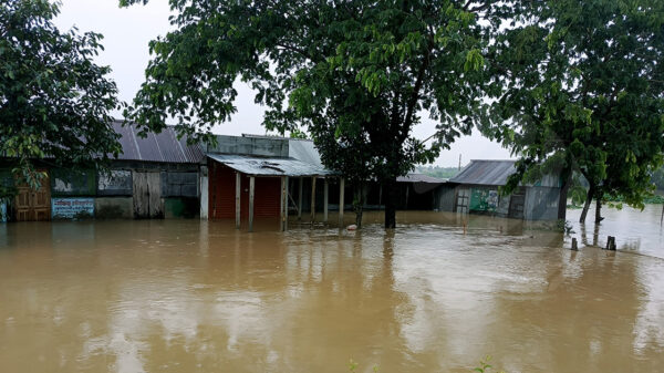 আখাউড়ায় আকস্মিক বন্যায় ১৯ গ্রাম প্লাবিত