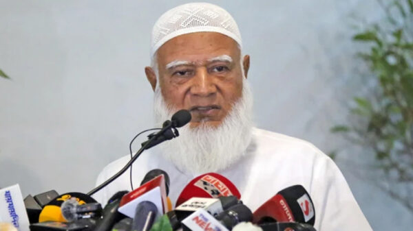 অন্য কোনো দেশ নির্বাচনে হস্তক্ষেপ করুক, এটা কাম্য নয়: আমির