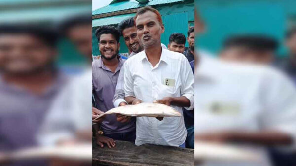 মেঘনায় ধরা পড়লো সাড়ে ৩ কেজির ইলিশ, ৭ হাজারে বিক্রি