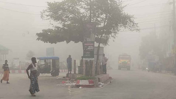 ঘনবর্ষা ও ভ্যাপসা গরমের মধ্যেও দেখা মিলল কুয়াশার