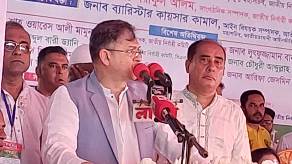আল্লাহ ছাড়া কেউ এই নির্বাচন ঠেকাতে পারবে না: সালাহউদ্দিন