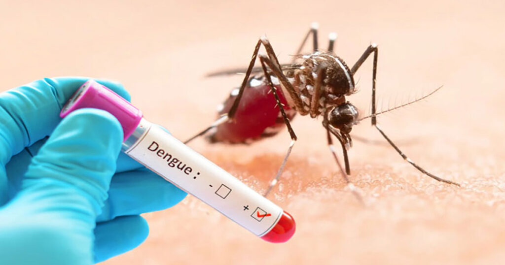 ডেঙ্গু আক্রান্ত হয়ে হাসপাতালে আরও চার শতাধিক রোগী