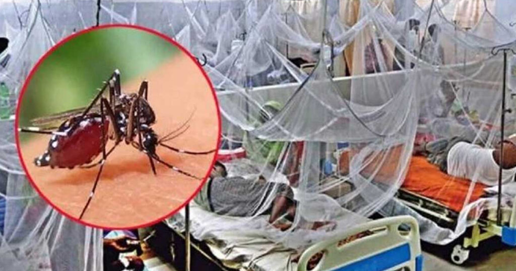 গত ২৪ ঘণ্টায় ডেঙ্গু আক্রান্ত হয়ে ১৯০ জন হাসপাতালে ভর্তি হয়েছেন। তবে এই সময়ের মধ্যে এডিস মশাবাহিত রোগটিতে আক্রান্ত হয়ে কারও মৃত্যু হয়নি।