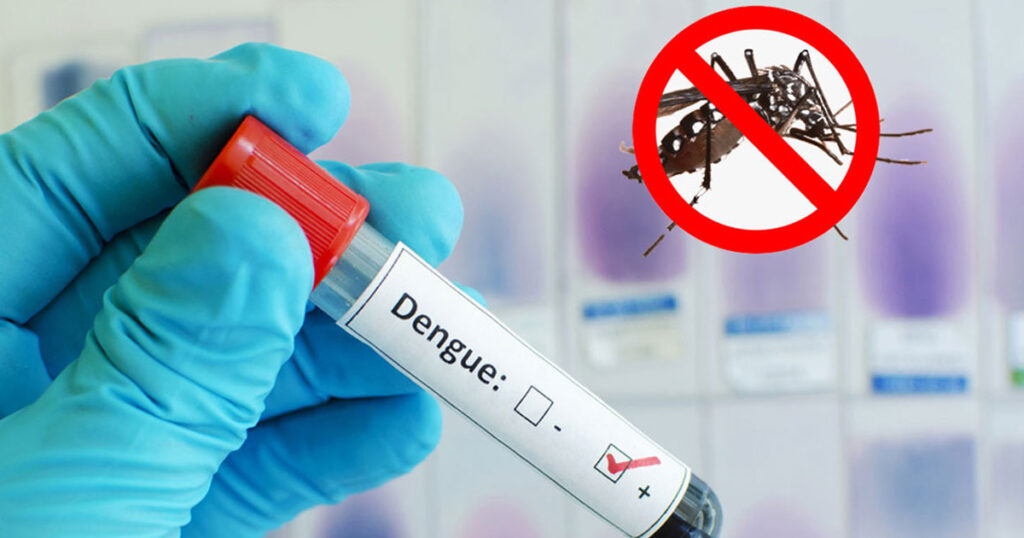 ডেঙ্গুতে আরও ৩ জনের মৃত্যু, হাসপাতালে ৪১২