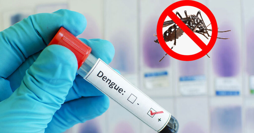 ডেঙ্গুতে ৪ জনের মৃত্যু, হাসপাতালে ভর্তি ২৪৭ ডেঙ্গুতে ৪ জনের মৃত্যু, হাসপাতালে ভর্তি ২৪৭