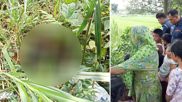 কিশোরগঞ্জে রাস্তার পাশে ঝুপড়ি থেকে নবজাতকের মরদেহ উদ্ধার