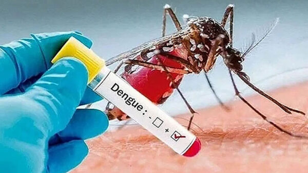 ডেঙ্গুতে একদিনে ১২ জনের মৃত্যু