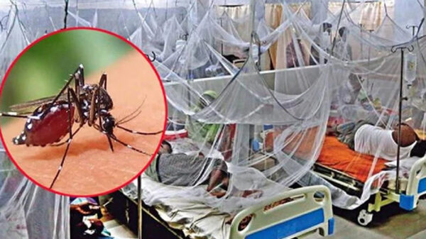ডেঙ্গুতে ৩ জনের প্রাণহানি, হাসপাতালে চিকিৎসাধীন ৭৩৫