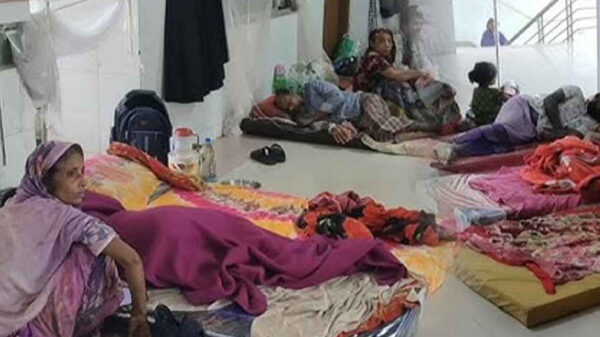 বরগুনায় ডেঙ্গুতে নতুন আক্রান্ত ৫২