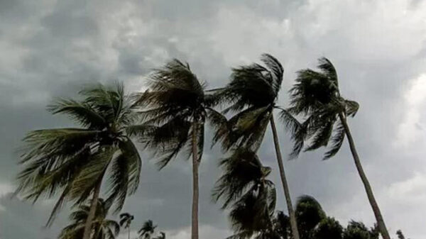 সন্ধ্যার মধ্যে সাত অঞ্চলে ঝড়ের সতর্কতা