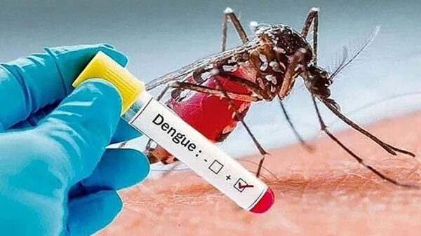 ডেঙ্গুতে আক্রান্ত হয়ে আরও একজনের মৃত্যু
