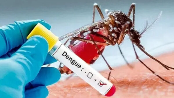 ডেঙ্গুতে আক্রান্ত হয়ে আরও দুজনের মৃত্যু