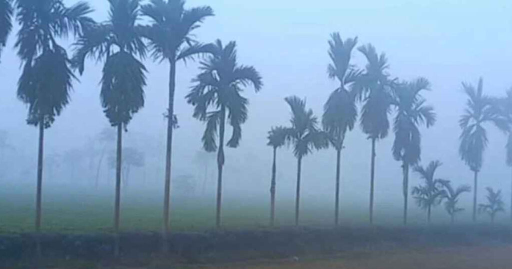 কনকনে শীতে কাঁপছে তেঁতুলিয়া, শৈত্যপ্রবাহের আভাস