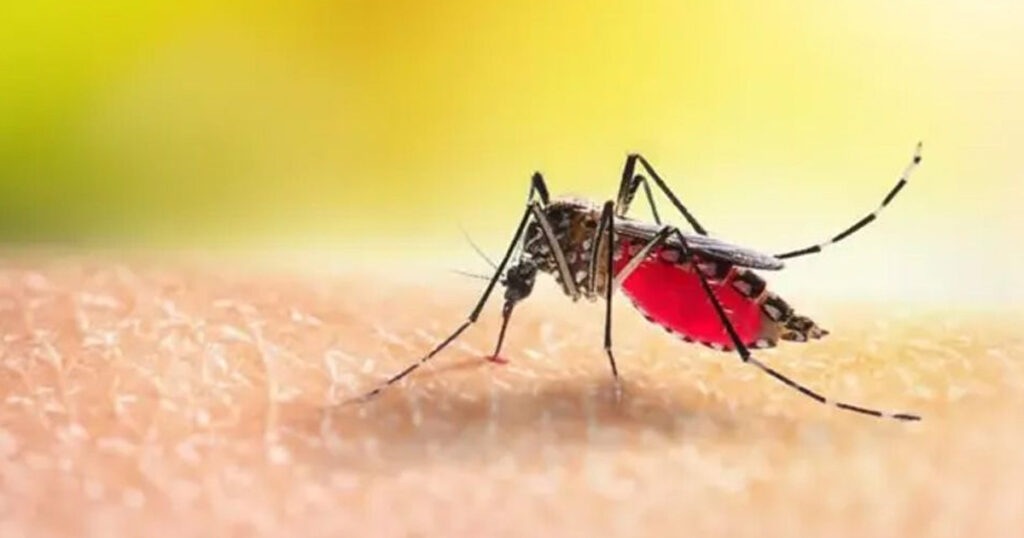 ডেঙ্গু আক্রান্ত হয়ে হাসপাতালে ভর্তি আরও ৪১০ জন