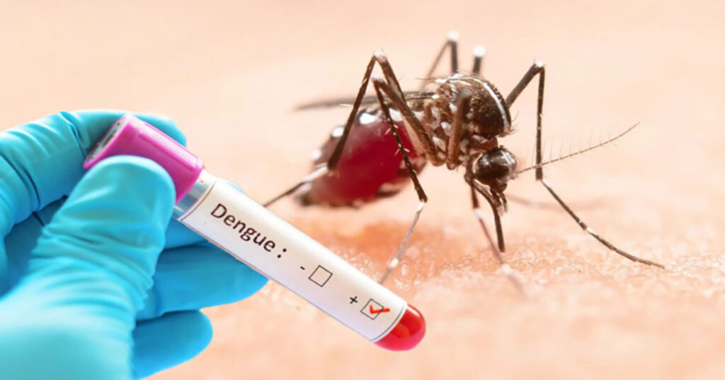 ডেঙ্গুতে আরও ৫ জনের মৃত্যু