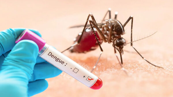 ডেঙ্গুতে আক্রান্ত হয়ে আরও ৫ জনের মৃত্যু