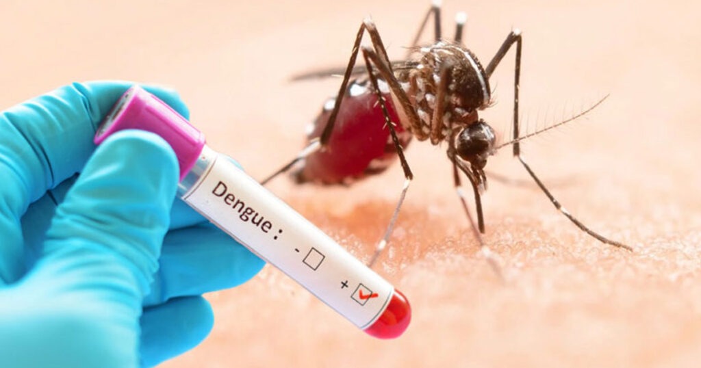 ডেঙ্গুতে আরো ৫ জনের মৃত্যু, হাসপাতালে ভর্তি ১১৬২ ডেঙ্গুতে আরো ৫ জনের মৃত্যু, হাসপাতালে ভর্তি ১১৬২