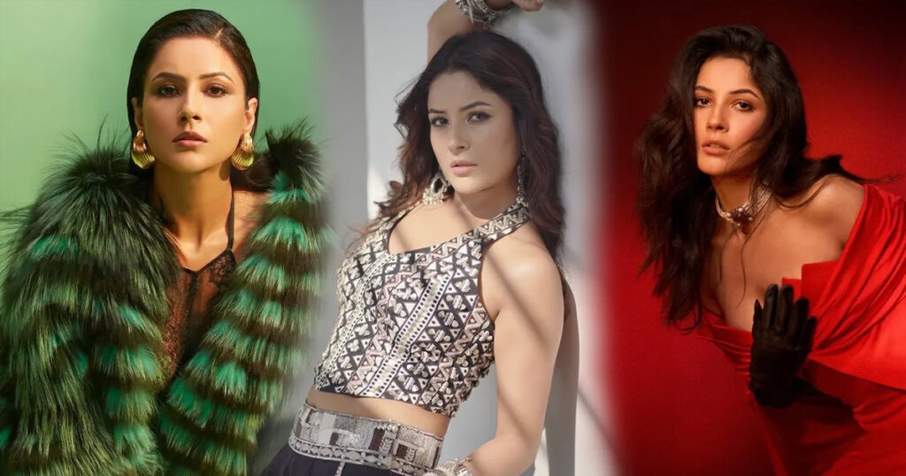 সংগ্রাম থেকে সাফল্যের শিখরে শেহনাজ গিল