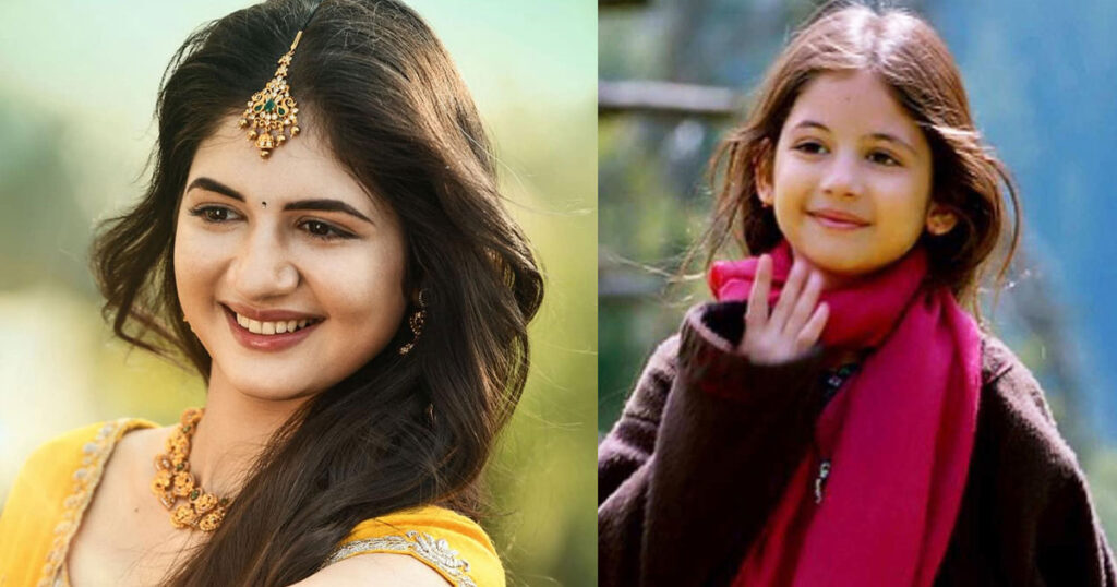 ৬৫ বছরের নায়কের সঙ্গে পর্দায় ফিরছেন ভাইজানের সেই মুন্নি