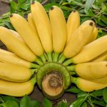 প্রতিদিন কতগুলো কলা খাওয়া যাবে?