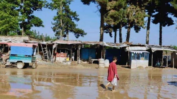 আফগানিস্তানে ভারী বৃষ্টিতে আকস্মিক বন্যা, নিহত অন্তত ১৭