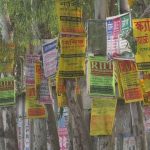 এবার গাছে পেরেক লাগালে দিতে হবে জরিমানা